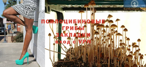 гашиш Богородицк
