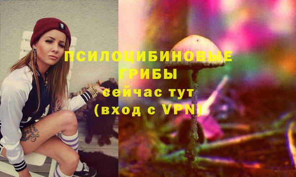 прущие крисы Бугульма