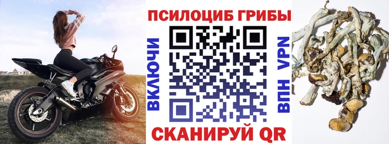 Галлюциногенные грибы мухоморы  Березники 